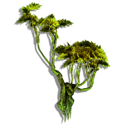Twisted Jungle Tree