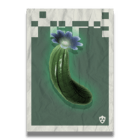 Cactus Flesh Poster