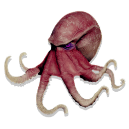 Hypnotic Octopus