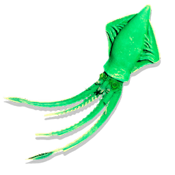 Gamma Squid