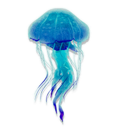 Mellifluous Jellyfish