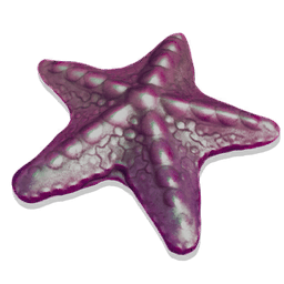 Shalebound Starfish