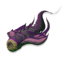 All-Seeing Worm