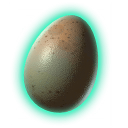 Companion Egg